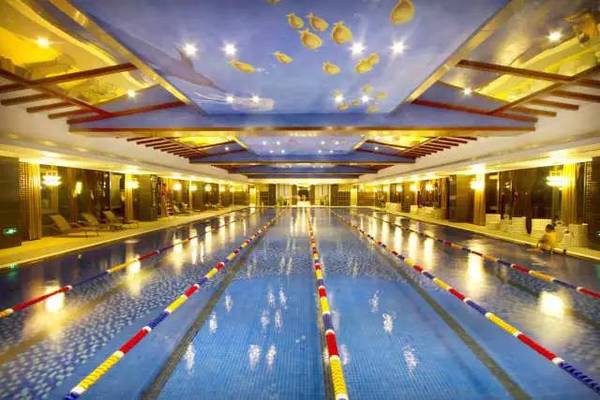 广州95号油价最新变动信息汇总